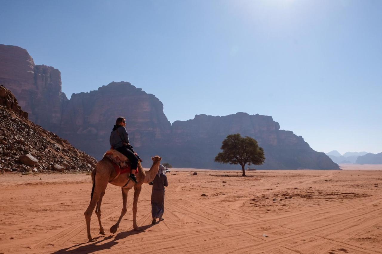 Wadi Rum Bedouin Camp And Desert Tours エクステリア 写真