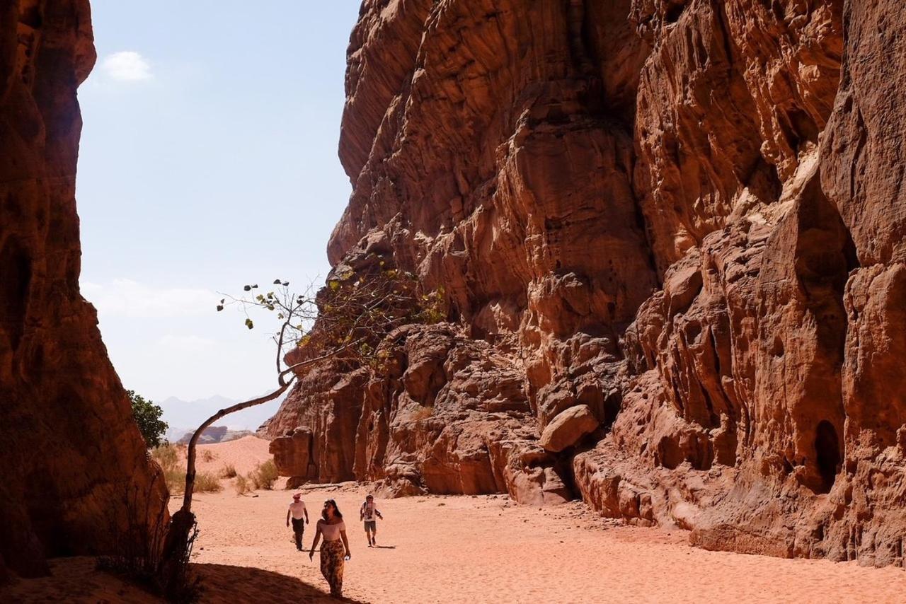 Wadi Rum Bedouin Camp And Desert Tours エクステリア 写真
