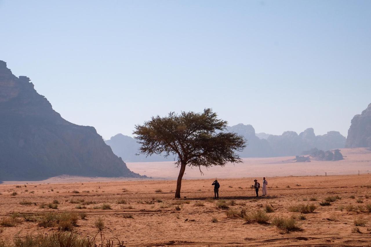 Wadi Rum Bedouin Camp And Desert Tours エクステリア 写真